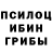 Галлюциногенные грибы Cubensis skEEp 314